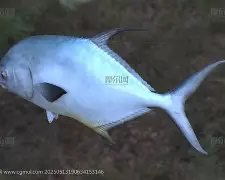 瑆t业X皥鲹b?ハ娲順鵤-九游网页版